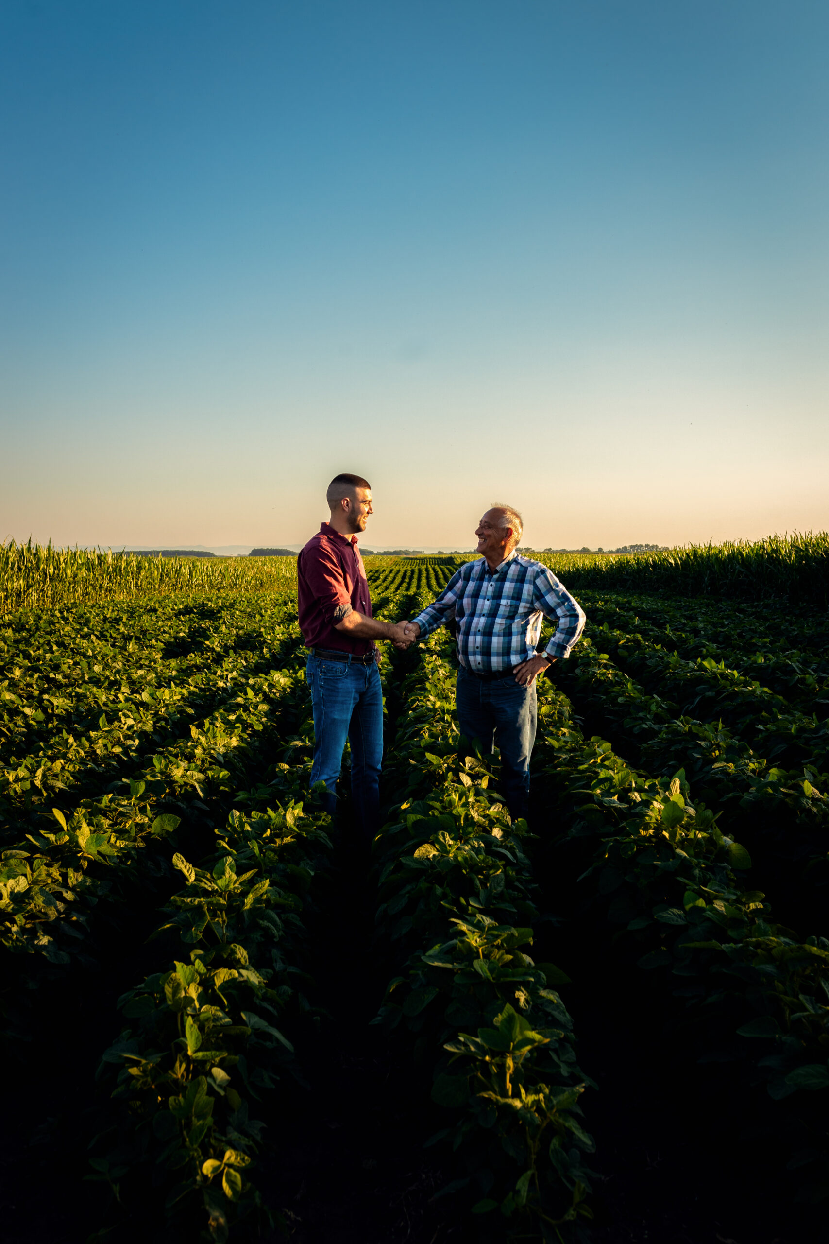 Farmers in field
